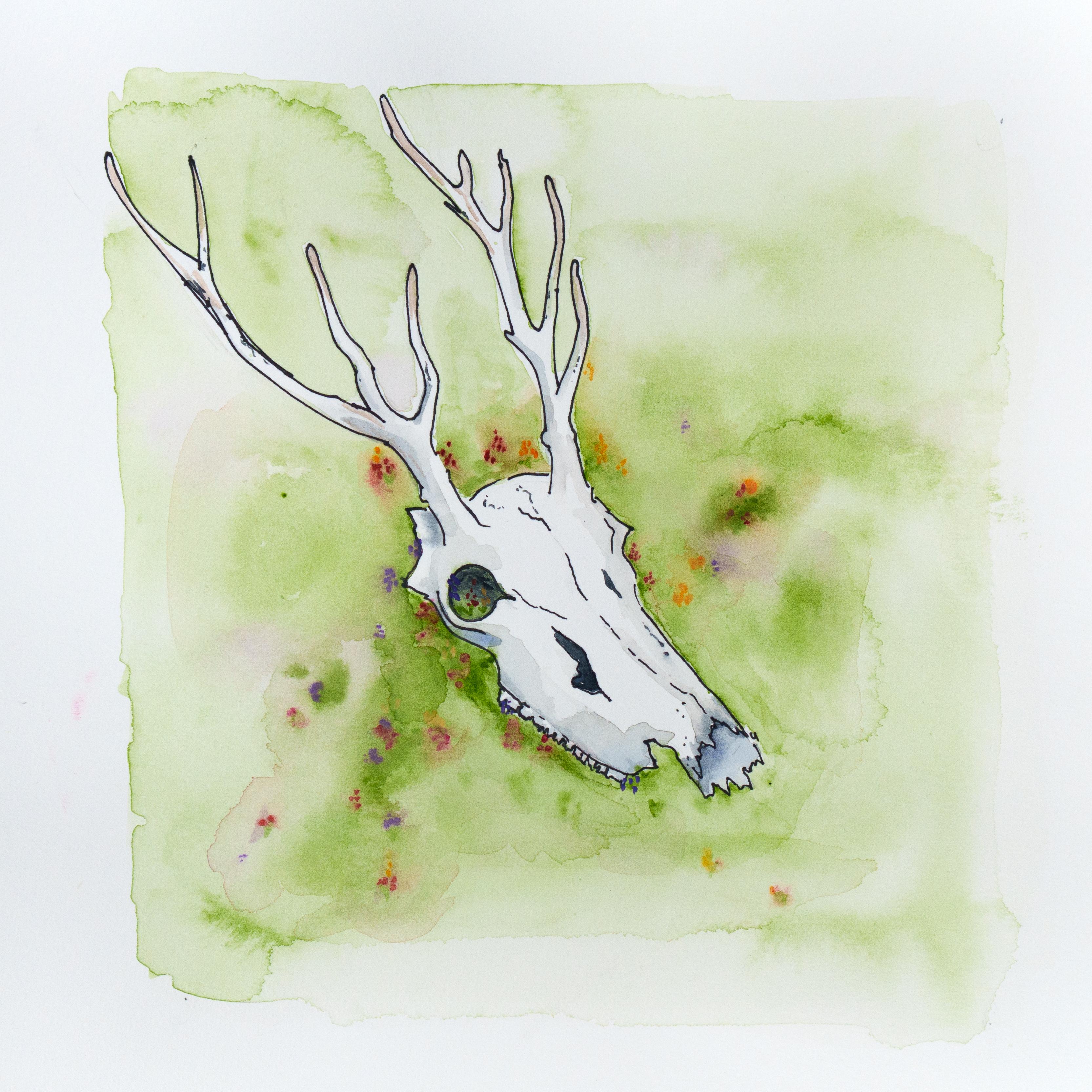 Endlessly album artwork